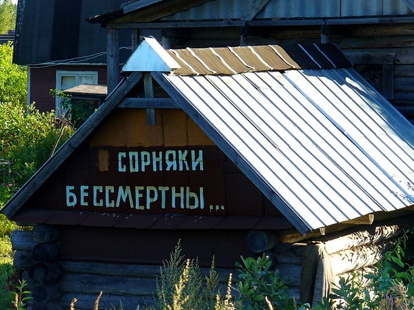 15. И правда, еще время тратить на них.