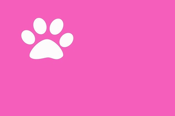 Посмотреть правильный ответ: