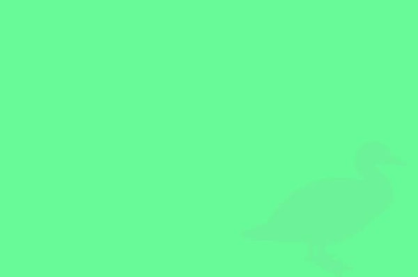 4. Силуэт какого животного можно рассмотреть на этой картинке?