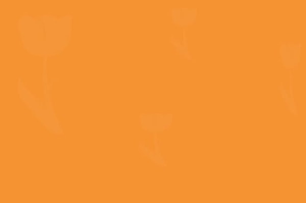 6. Сколько цветов вы видите?