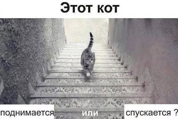 9. Что скажете?