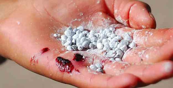 Причина использования "красного червя" заключается в стойкости!