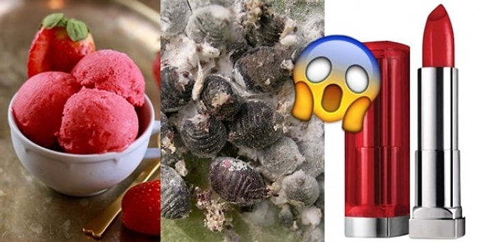 Любите красные продукты? Осторожно! Возможно, каждый день вы едите сотни красных жучков!