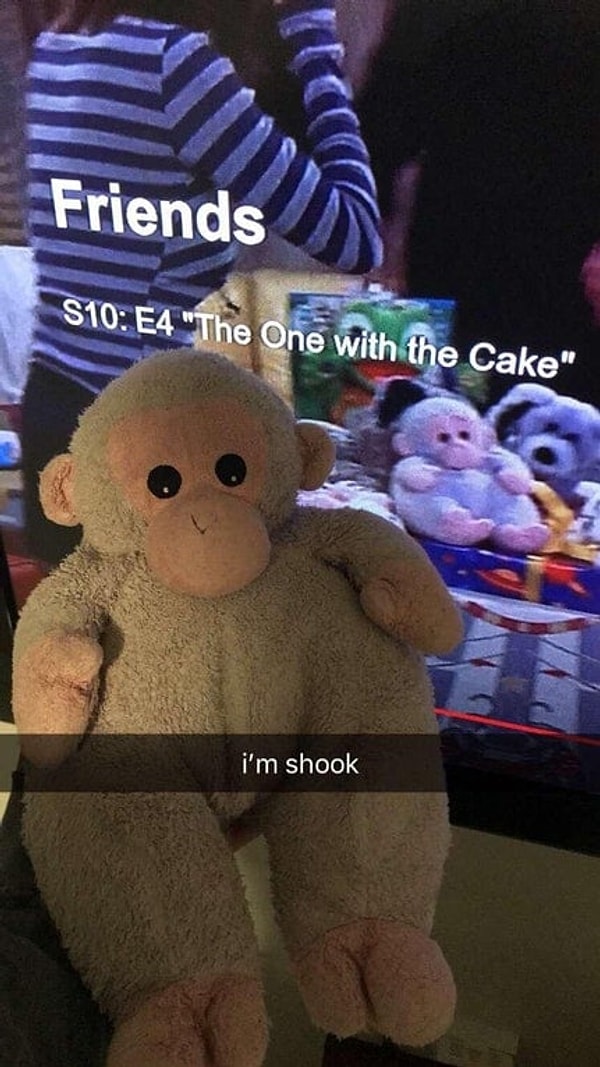 10. Представьте, что вы увидели свою любимую игрушку детства по телевизору, точнее в сериале "Друзья"! Это что шутка какая-то?