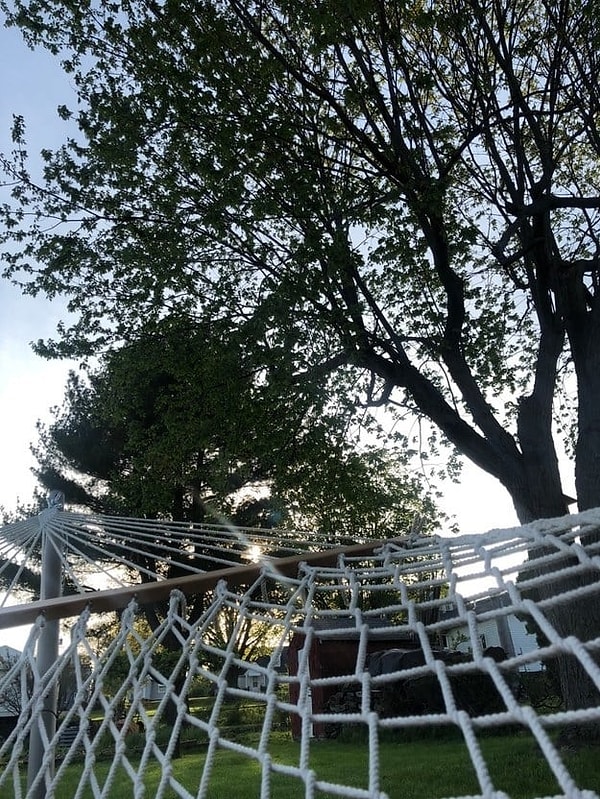 11. Поваляться в гамаке