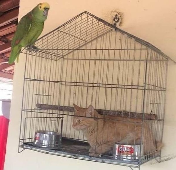 2. Поменялись ролями