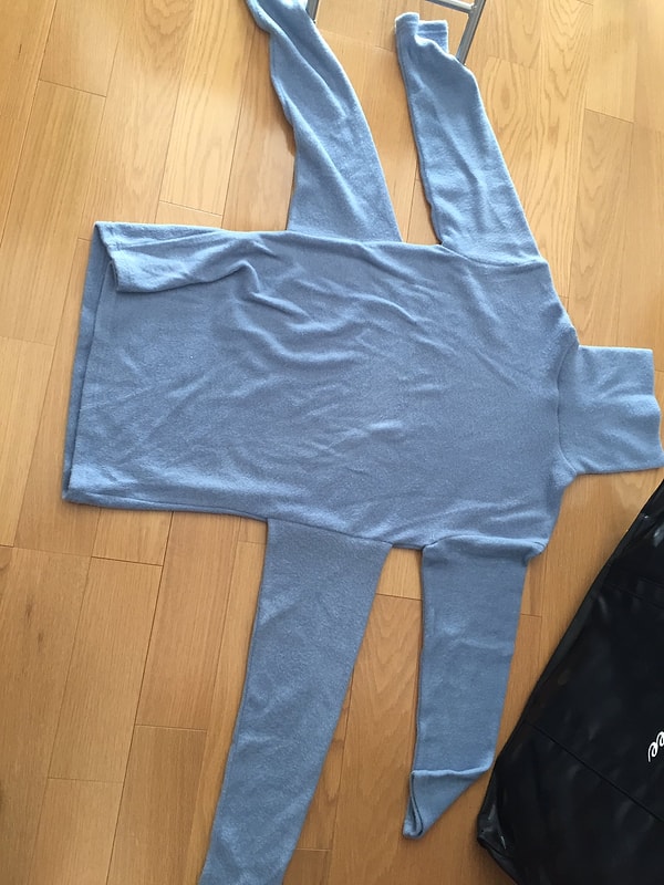 27. Родила царица в ночь не то сына, не то дочь...