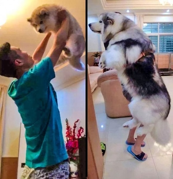 13. Подрос немножко