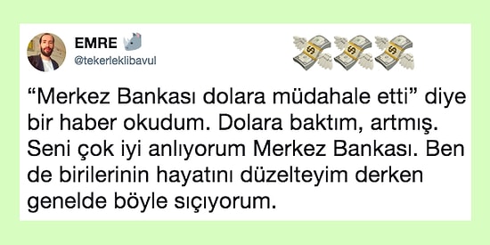 Faydalar Faydasız! Merkez Bankası'nın Müdahalesini Sallamayan Doları Mizahına Alet Eden 17 Kişi