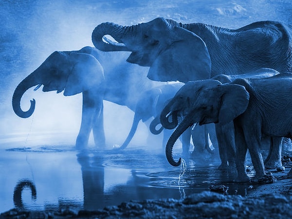 4. Вы ладите со своей семьей?