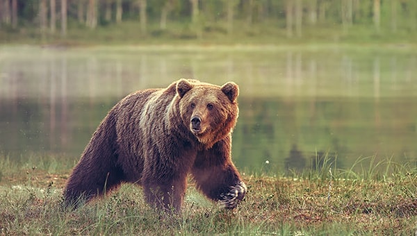 5. Когда вы активны больше всего?