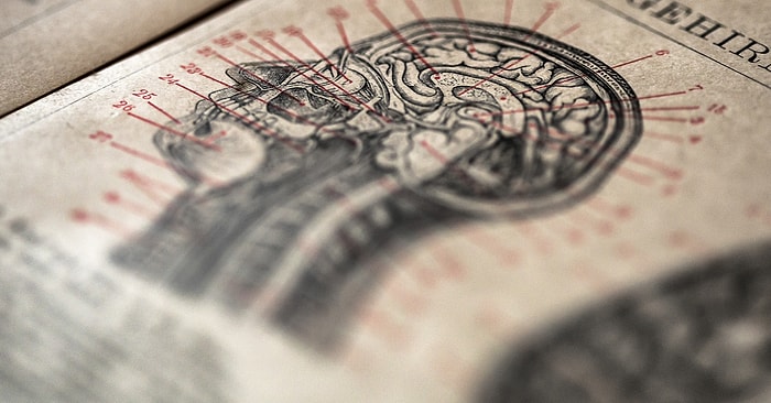 Вы знаете человеческую анатомию на уровне профессионального медика, если наберете 7/9