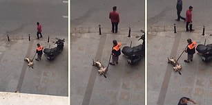 Yerde Yatan Köpeği Süpürgesiyle Mutlu Eden Temizlik İşçisi
