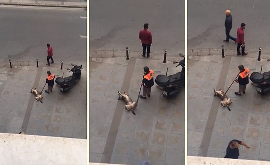 Yerde Yatan Köpeği Süpürgesiyle Mutlu Eden Temizlik İşçisi