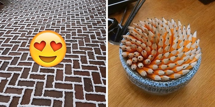 Любо-дорого смотреть: 19 фотокарточек, которые доставят необъяснимое удовольствие вашим глазам