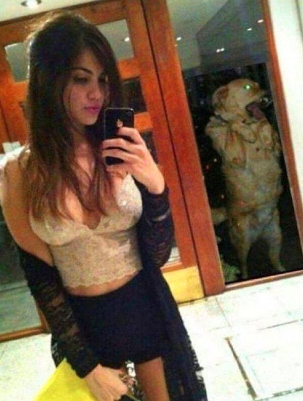 9. Köpek bile bu selfie saçmalığından bunalmış...