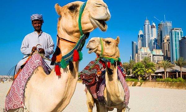 9. Dubai, Birleşik Arap Emirlikleri - 3.447 $