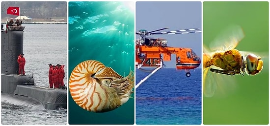 Teknolojinin Doğadan İlham Alarak Geliştirdiği Biyomimetik Biliminden 24 Çarpıcı Örnek