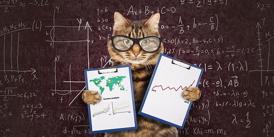 Если пройдете этот тест без единой ошибки, то вы точно не зря учились в школе!