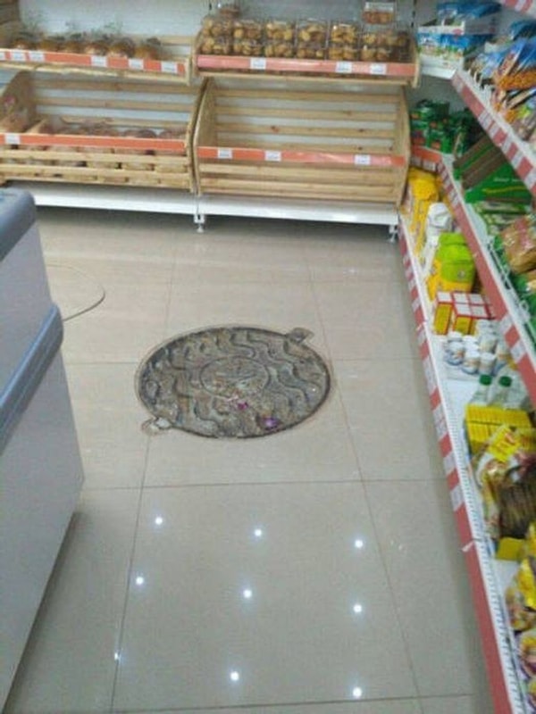 17. Нежданчик, однако...