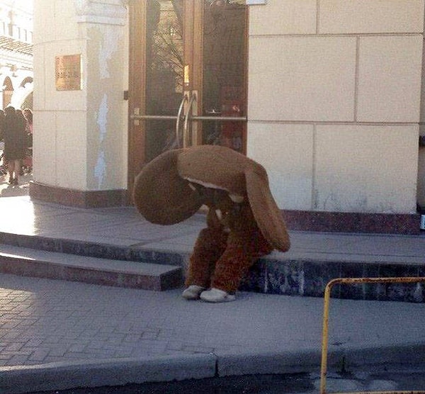 12. Как же мы тебя понимаем, Чебурашка...