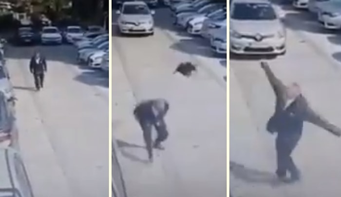 Yolda Yürürken Kargaların Saldırısına Uğrayan Adam