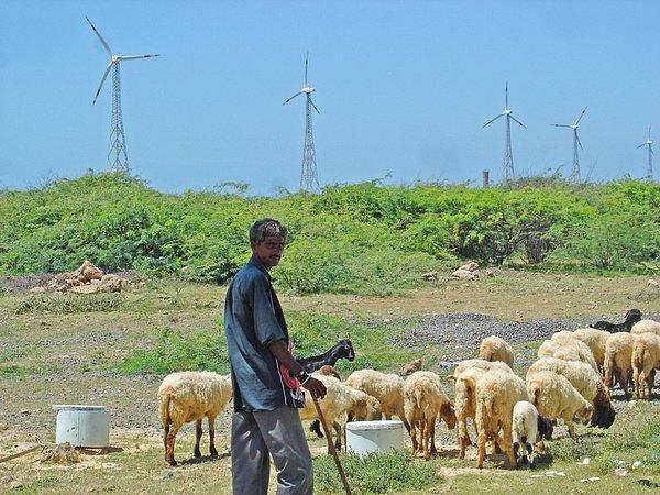 3. Hindistan'ın sadece bir eyaleti rüzgar enerjisiyle İsveç ve Danimarka'dan daha fazla elektrik üretiyor.