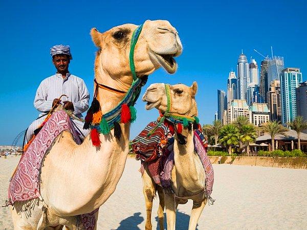 9. Dubai, Birleşik Arap Emirlikleri — 3,447$