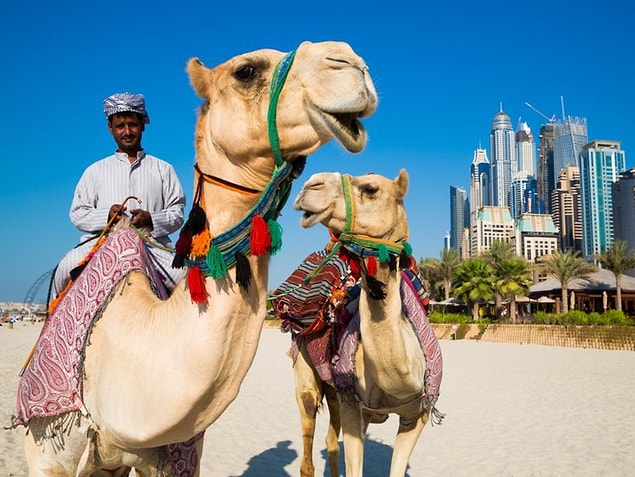 9. Dubai, Birleşik Arap Emirlikleri — 3,447$