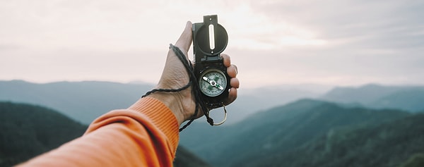 4. По каким приметам можно определить стороны света?