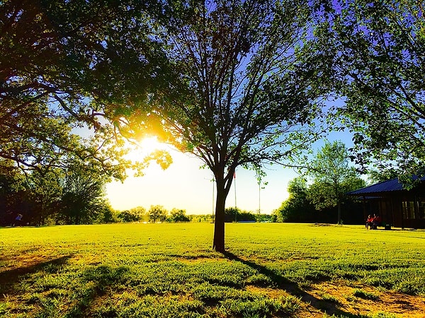 3. В полдень при солнечной погоде тень от предметов показывает направление на: