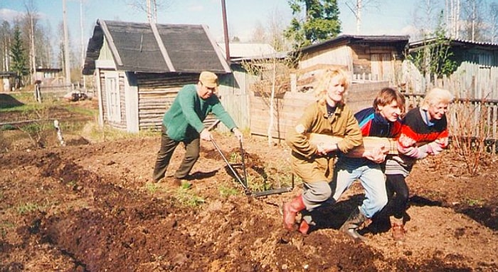 5 вещей, которые могут меняться каждый год только в России...