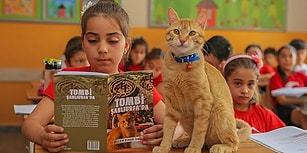 Okuldan 'Uzaklaştırılması' 24 Ülkede Haber Olmuştu: Öğrencilerin Sevgilisi 'Tombi' Artık Bir Kitap Kahramanı 🐱