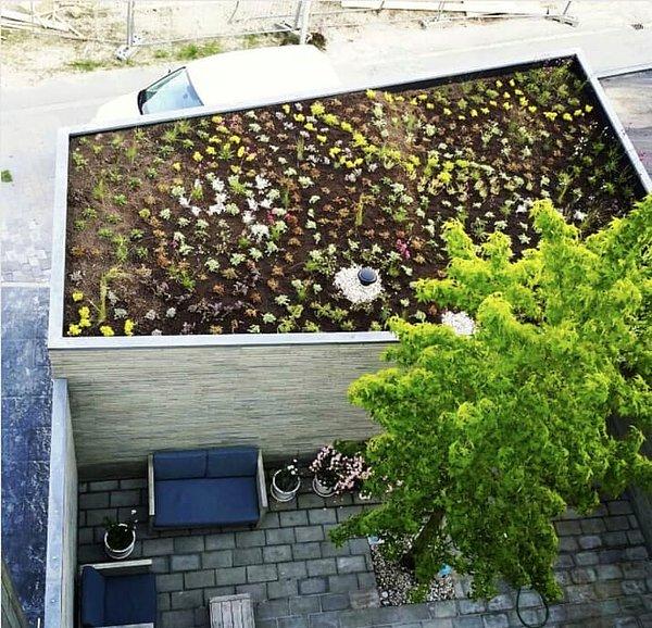7. Yaşasın çevre dostu çatılar! Bu çatı sayesinde hem izolasyon yapıp evinizi daha sıcak tutuyor hem de istediğiniz bitkiyi yetiştirebiliyorsunuz.