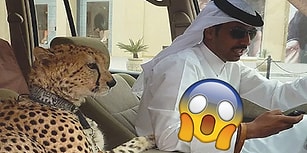 Bunlar Nasıl Kafalar! Dubai'de Yaşıyor Olsaydınız Her Gün Karşılaşabileceğiniz 27 Manzara