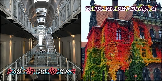 Ansiklopedilerde Asla Bulamayacağınız 15 Olağanüstü Fotoğraf