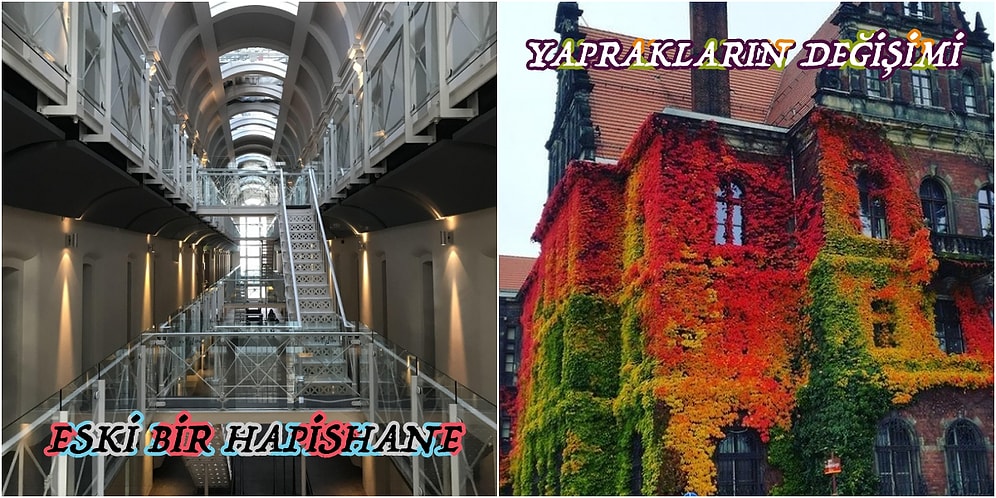 Ansiklopedilerde Asla Bulamayacağınız 15 Olağanüstü Fotoğraf