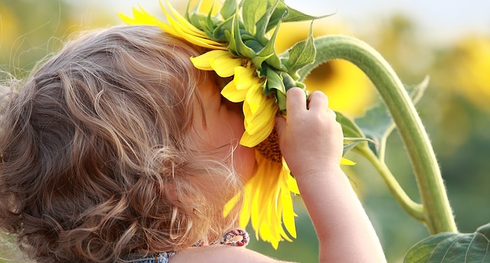 10 неожиданных фактов о запахах, в которые верили в прошлом и настоящем