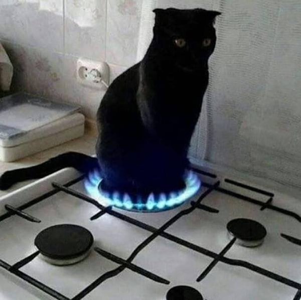 12. Когда отключили отопление