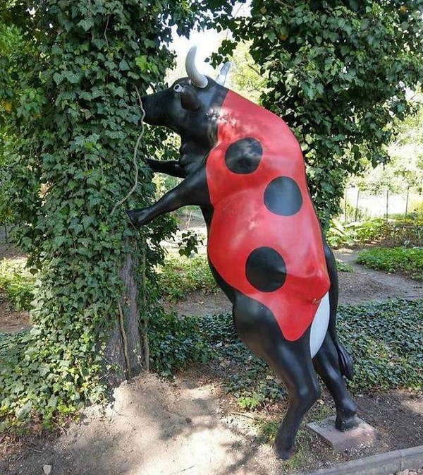 24. Божья коровка! В самом буквально своем смысле!