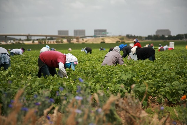 Türkiye’yi 47.9 ile Kolombiya ve 45.2 ile Meksika izliyor. Kosta Rika ise 44.9 saat ile dördüncü sırada bulunuyor.