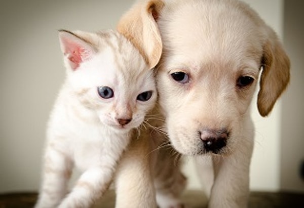 Показать правильный ответ: