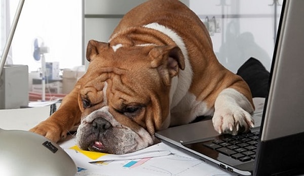 Показать правильный ответ: