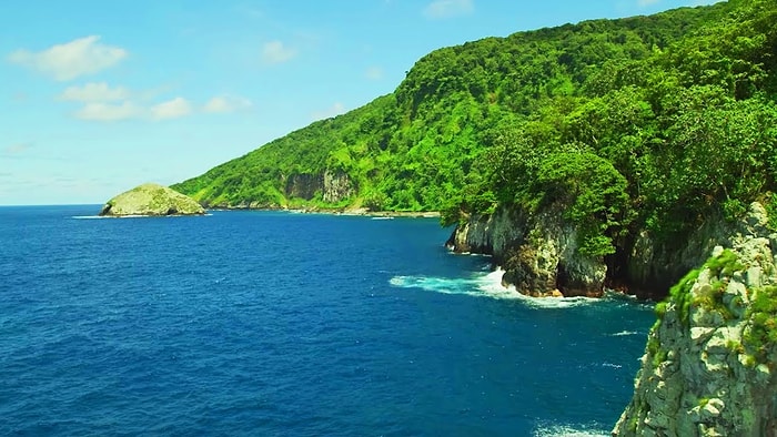 Arkanıza Yaslanın ve Rahatlayın! BBC'den 10 Saatlik Doğa Manzaraları ve Vahşi Hayatın Huzur Veren Sesleri Videoları!