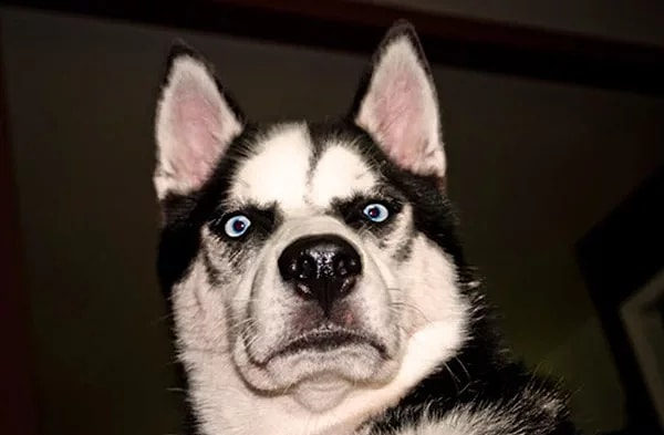 Так что следите за языком, товарищи! 😉