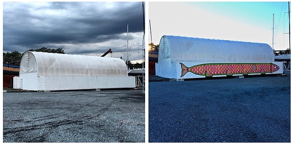 #32 Рыба на суше