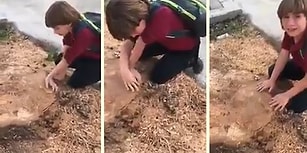 Her Gün Öperek Yanından Geçtiği Ağaç Kesilince Gözyaşlarına Boğulan Ufaklık