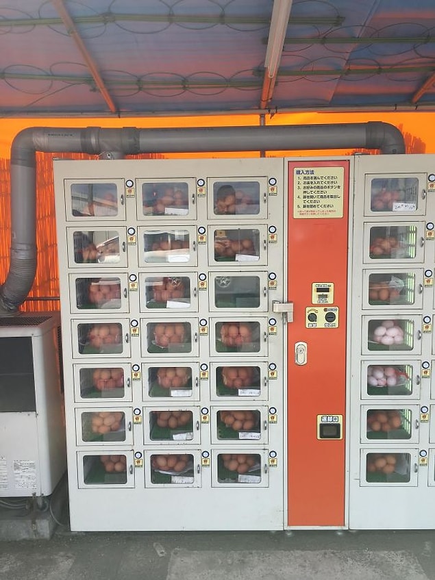 23. Her an taze yumurta alabileceğiniz bir otomatik satış makinesi.