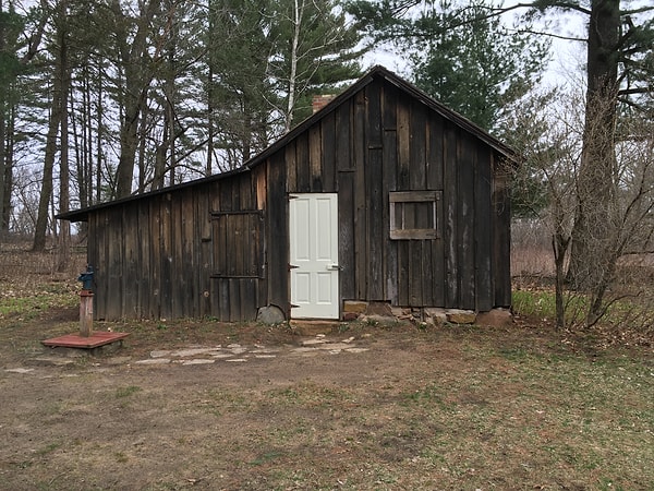 8. 25 тыс. рублей в месяц для ребенка и 25 тыс. рублей в месяц для взрослого: