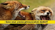 Aşk Hayatında Hangi Hayvan Gibisin?